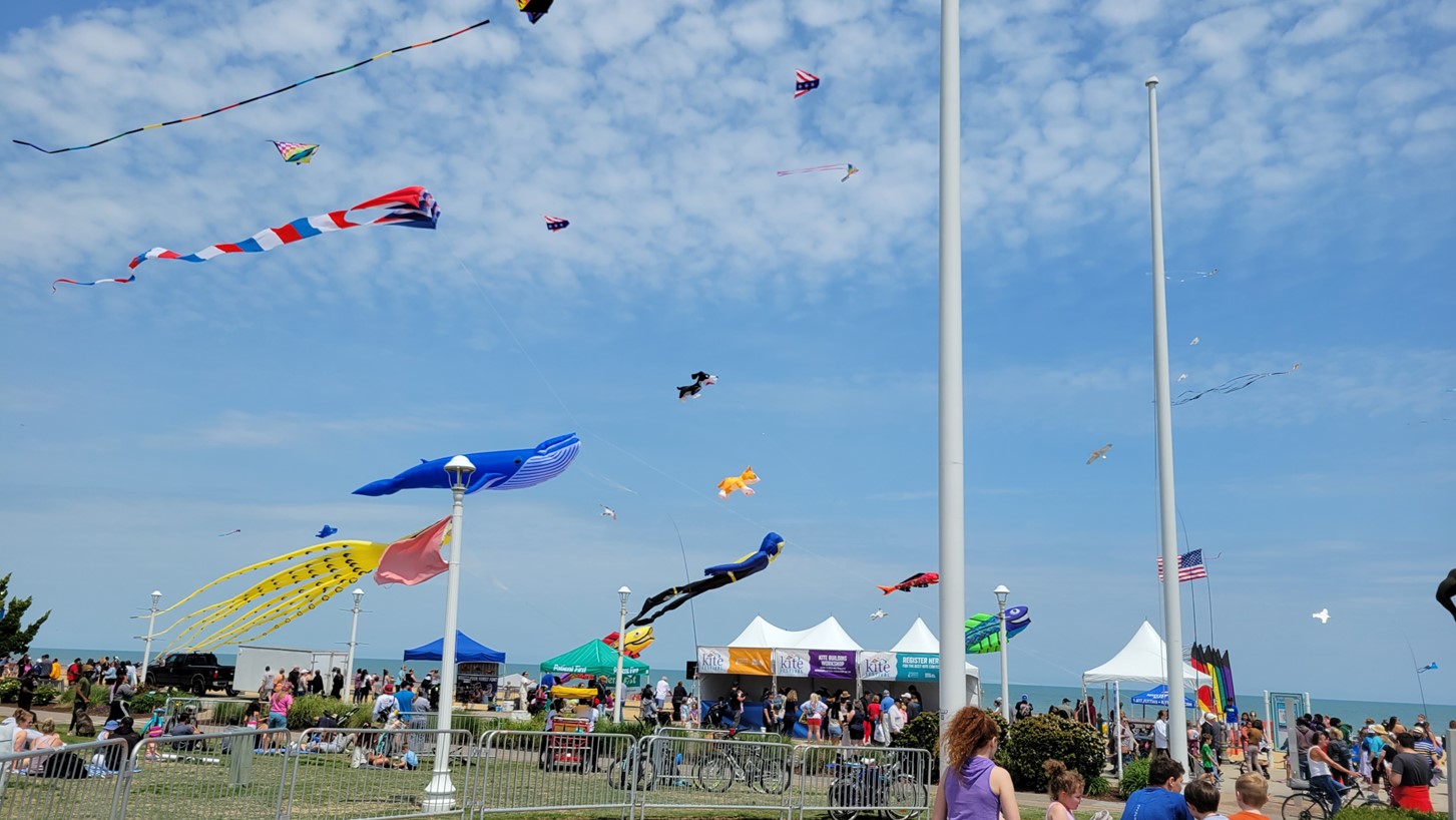 Kite Festival 1.jpg